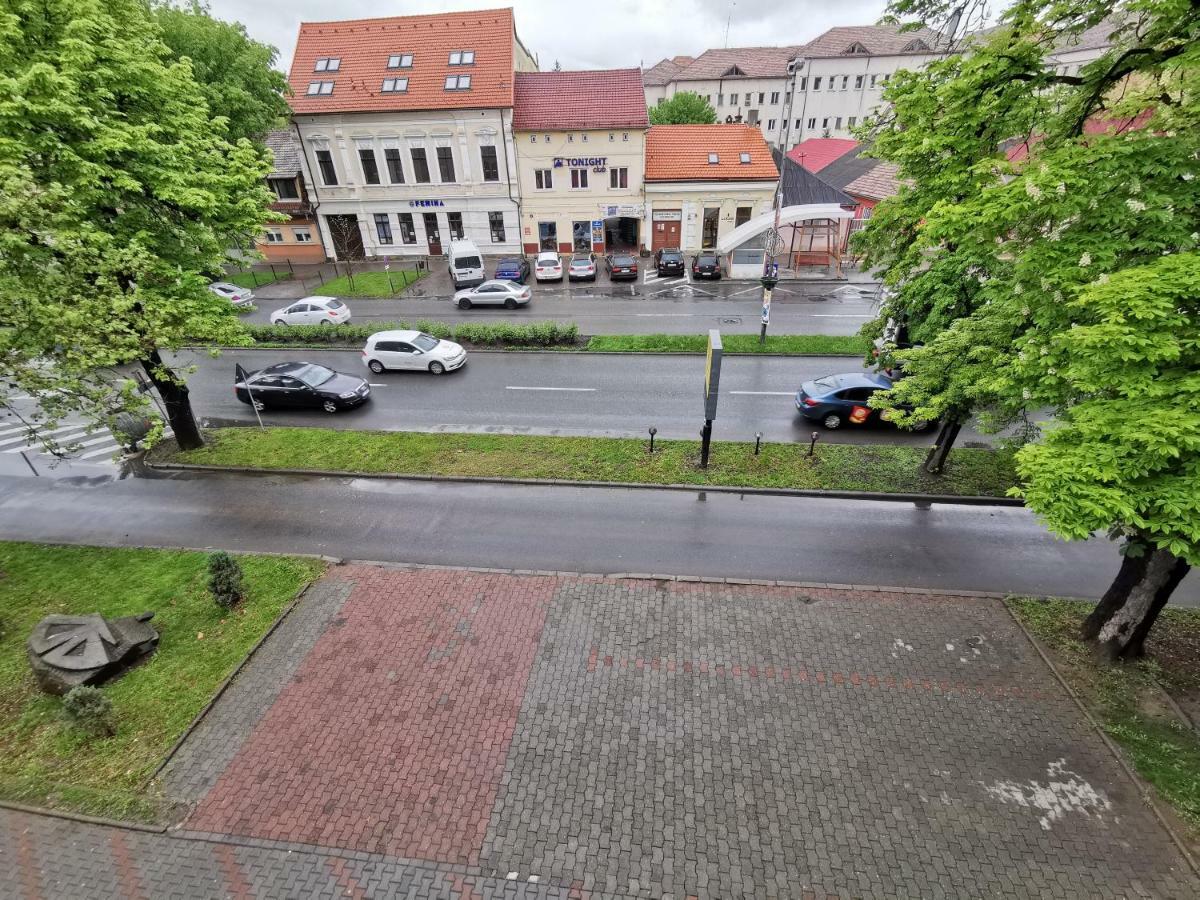 Pensiunea Stefan Bistrita  Luaran gambar